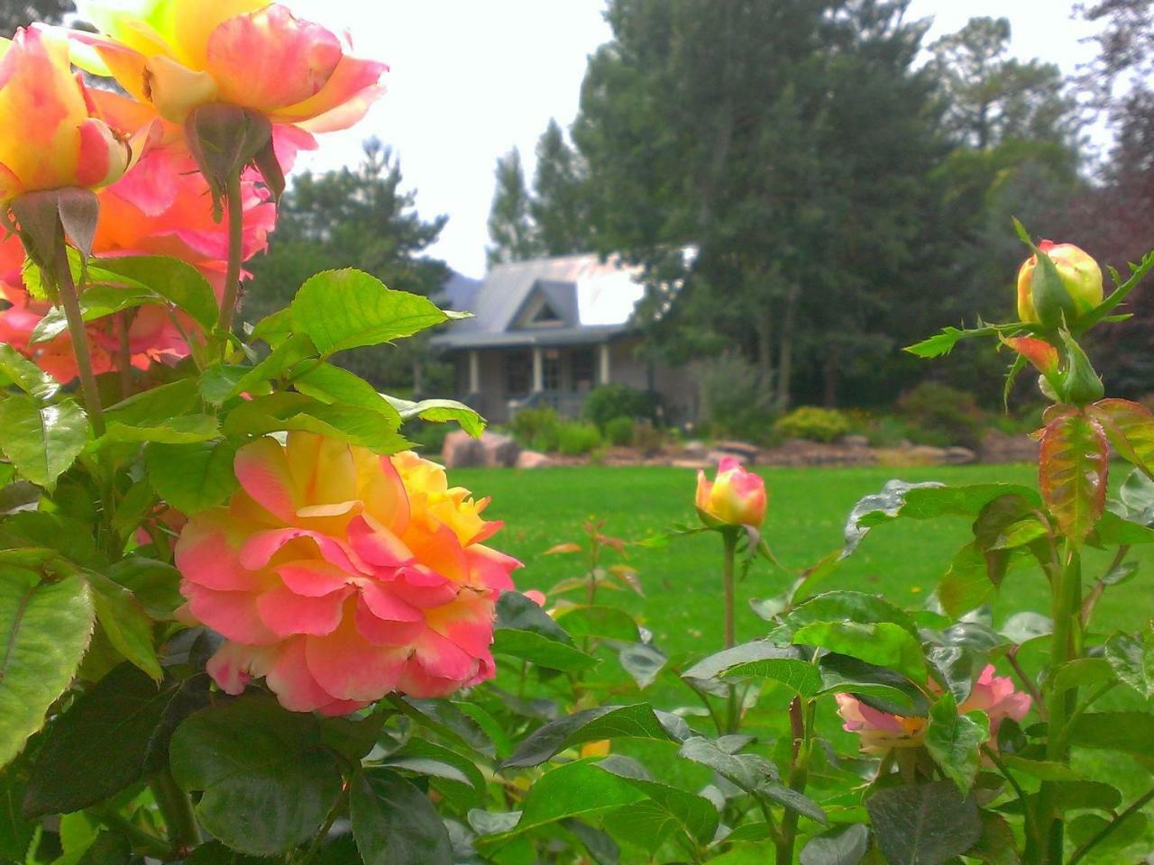 Hermosa苹果园旅馆住宿加早餐旅馆 外观 照片